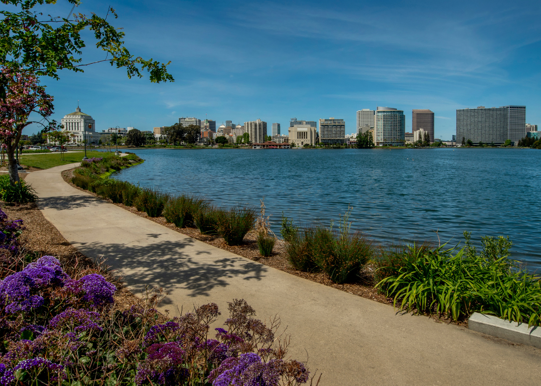 Flowers on a trail by a lake in Oakland.