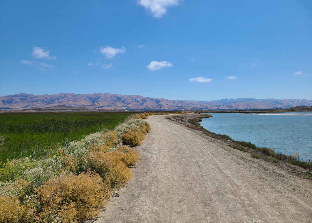 A trail on the bay with mountains in the background.