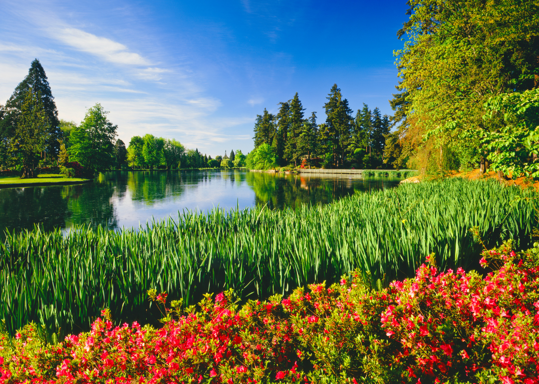 Water surrounded by trees and blooming flowers.