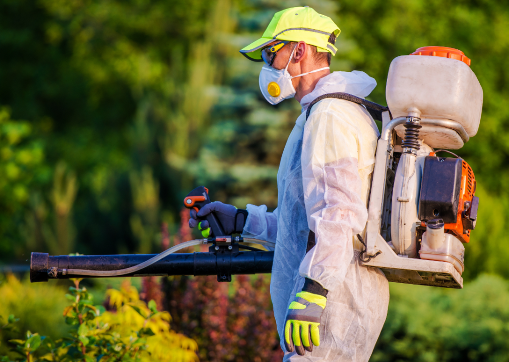 A man spraying pesticides in a garden