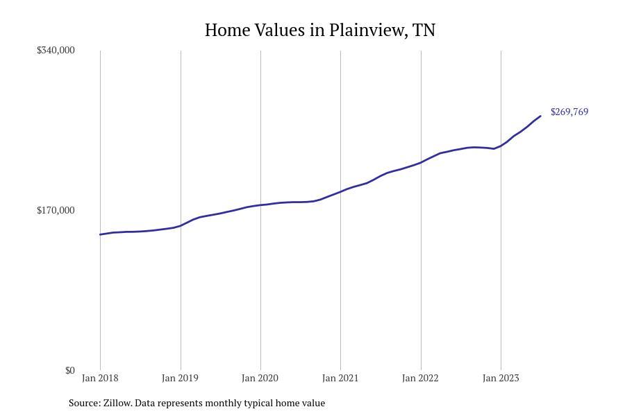 #3. Plainview