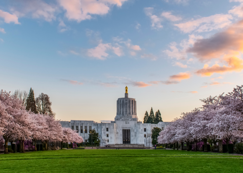 The capitol building in Salem with blossoming cherry trees lining the lawn.