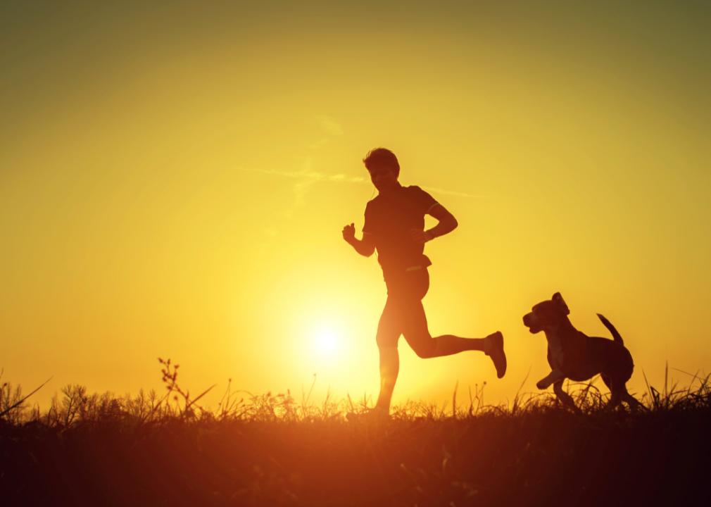 A silhouette of a person and a dog running in the sunset.