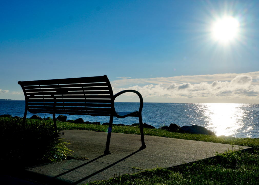 An empty bench facing Lake St. Clair in Michigan on a sunny day.