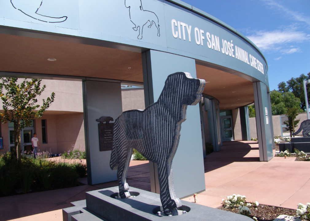 California: San Jose Animal Care And Services