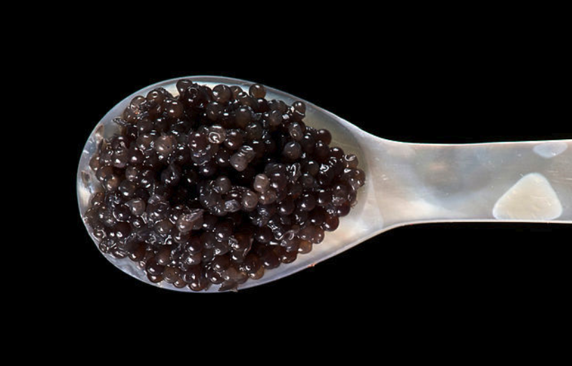 A spoon of caviar close-up.