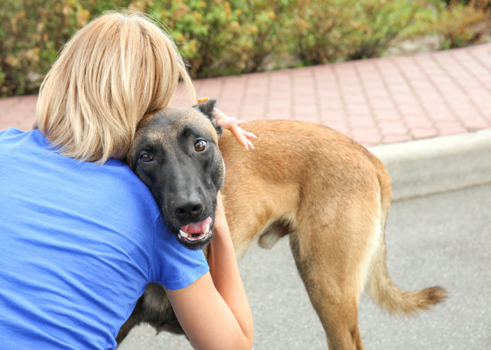 Animal shelters that take in the most dogs and cats in every state