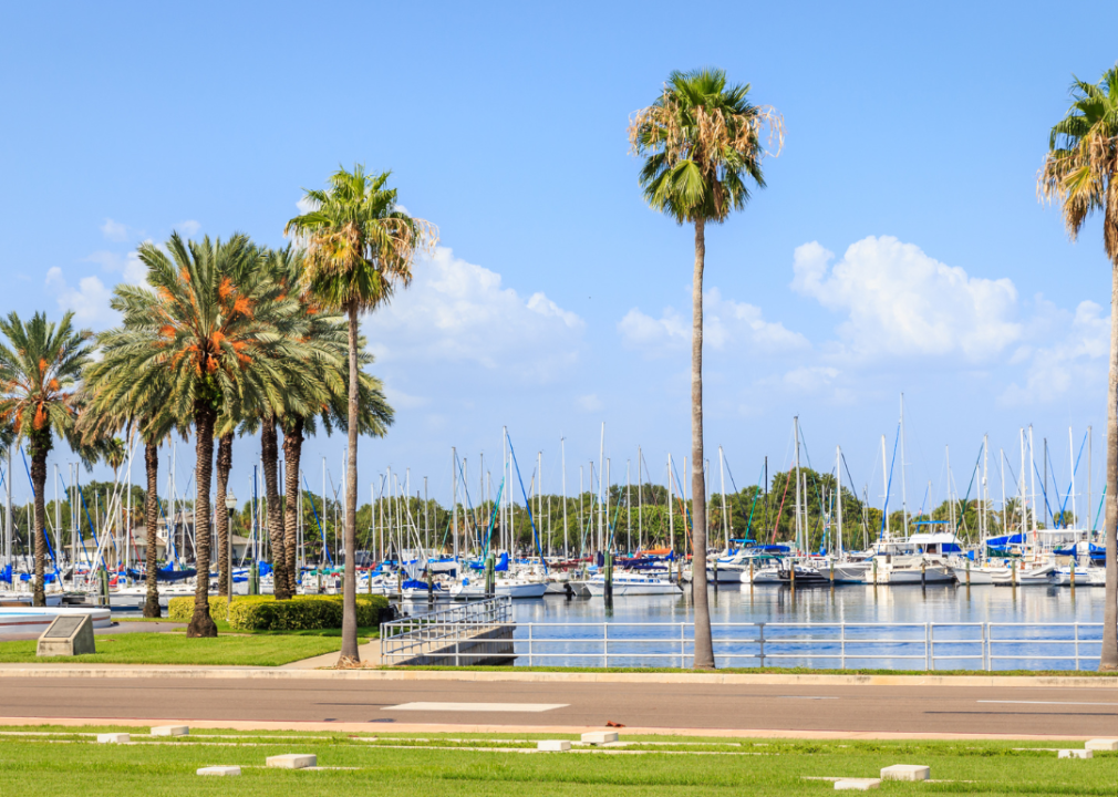 A marina with palm trees in the foreground.