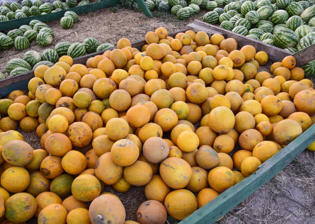 Arizona Farms Bring in Tons of Money. Here Are the 14 Most Valuable Crops.