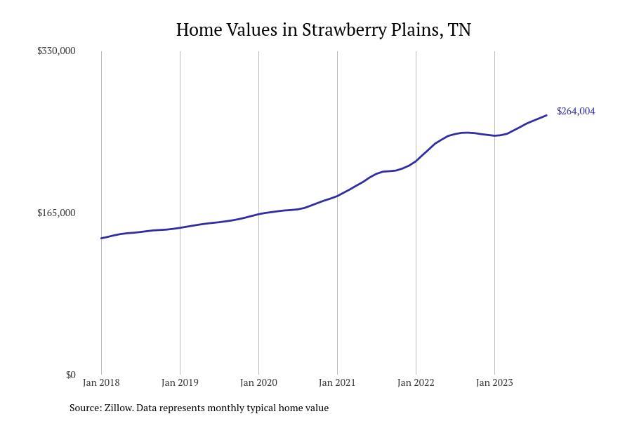#38. Strawberry Plains