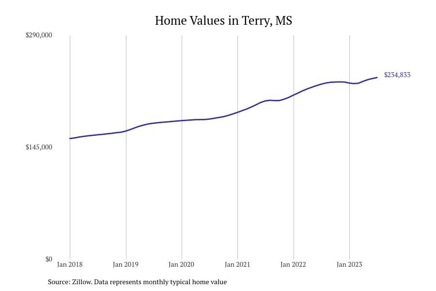 #20. Terry