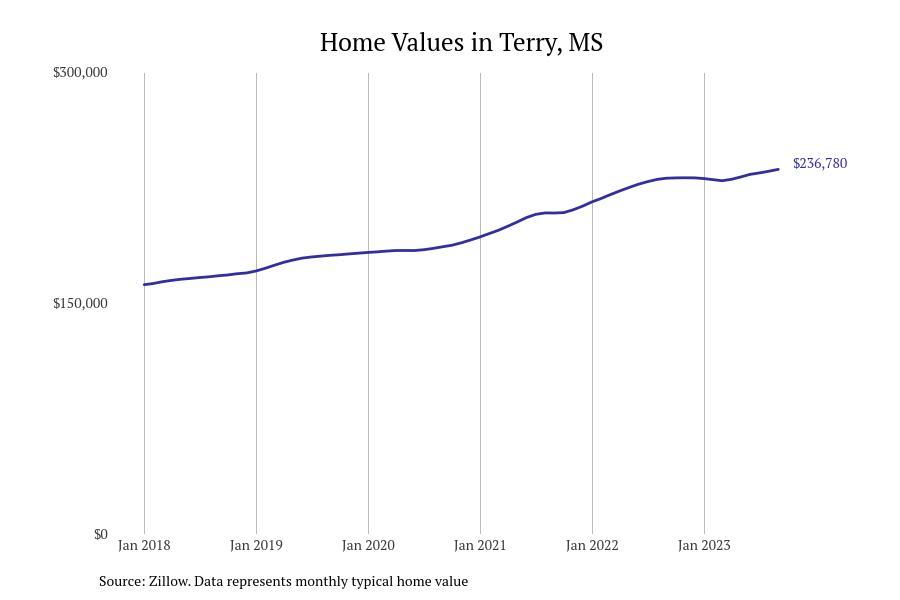 #21. Terry