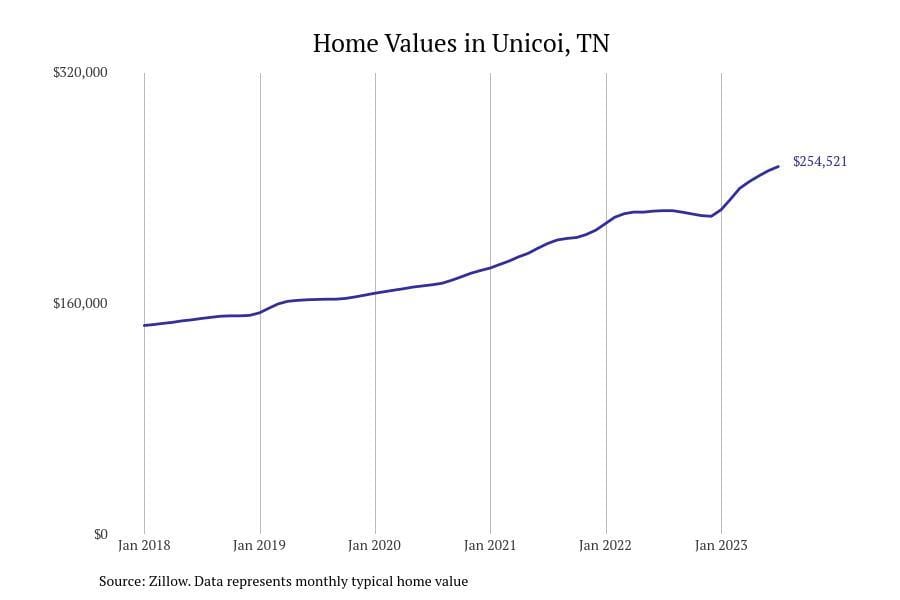 #11. Unicoi