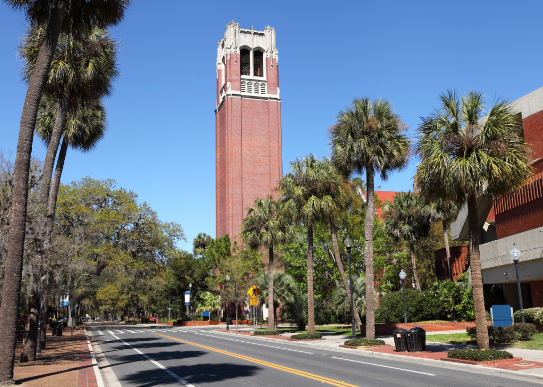 A street leading to the University of Florida.