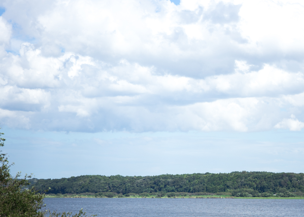 A tree-lined lakefront.