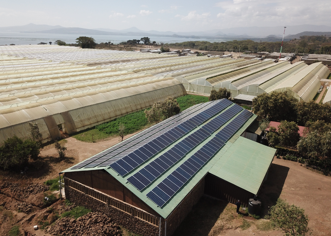 Roof-mounted solar panels on a rose farm in Kenya.