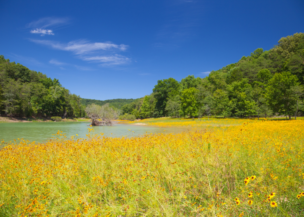 #44. Hamblen County