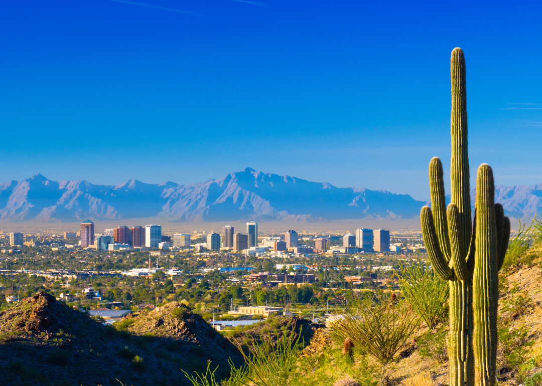 An aerial view of Phoenix with cacti in the foreground and mountains in the background.