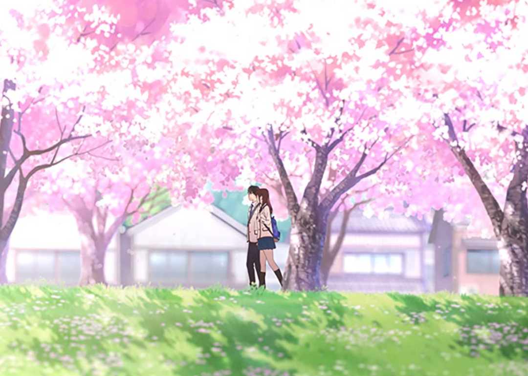 A still from I Want to Eat Your Pancreas.