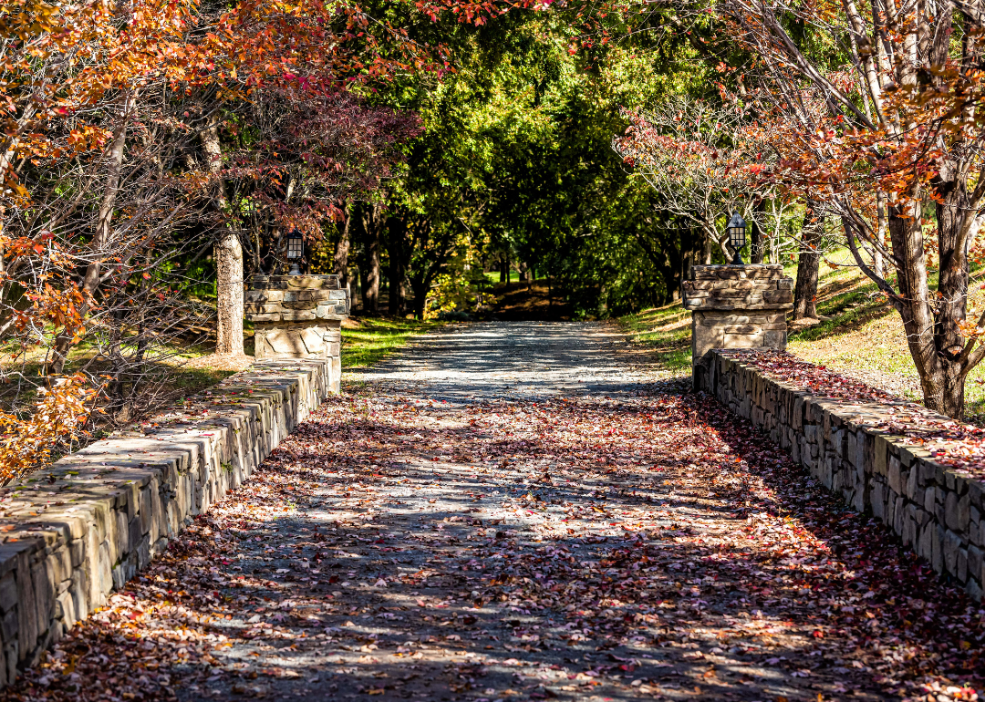 A scenic fall street in a luxury neighborhood in McLean on a fall day.
