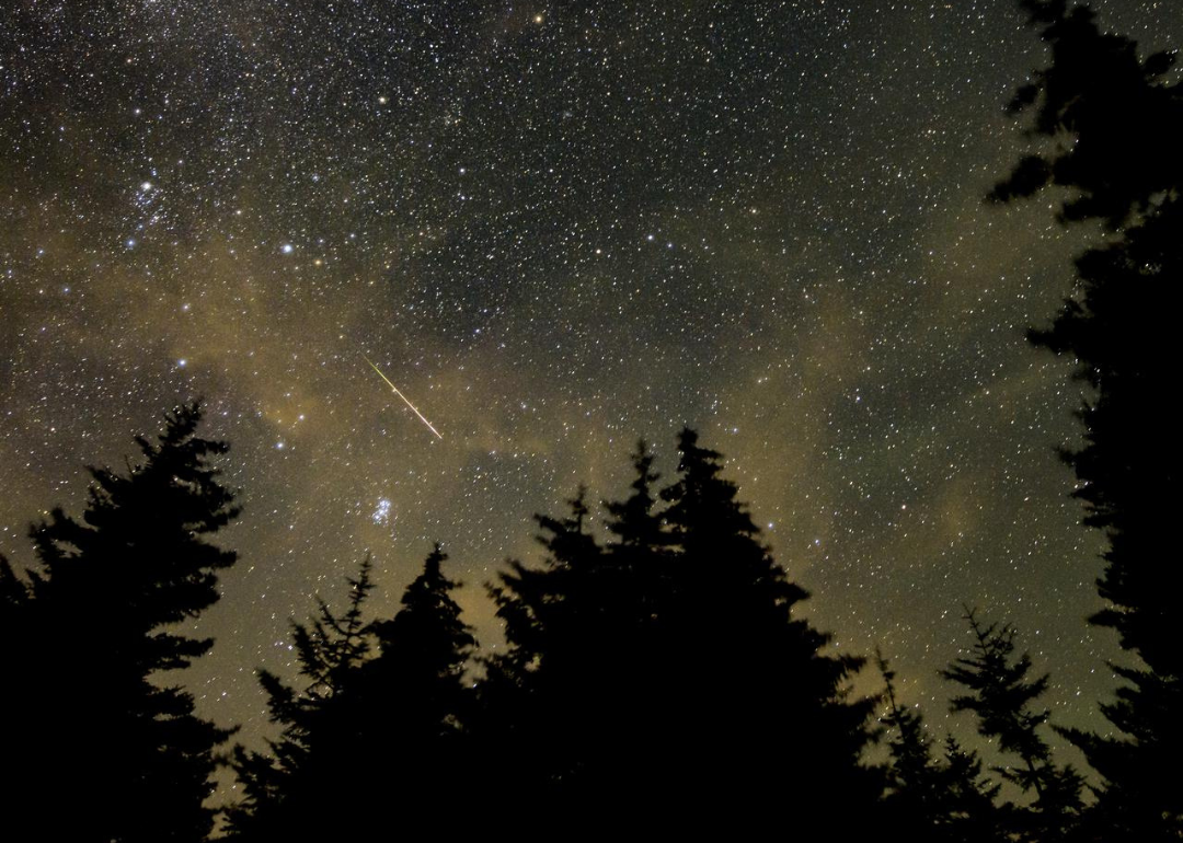 Perseid Meteor Shower