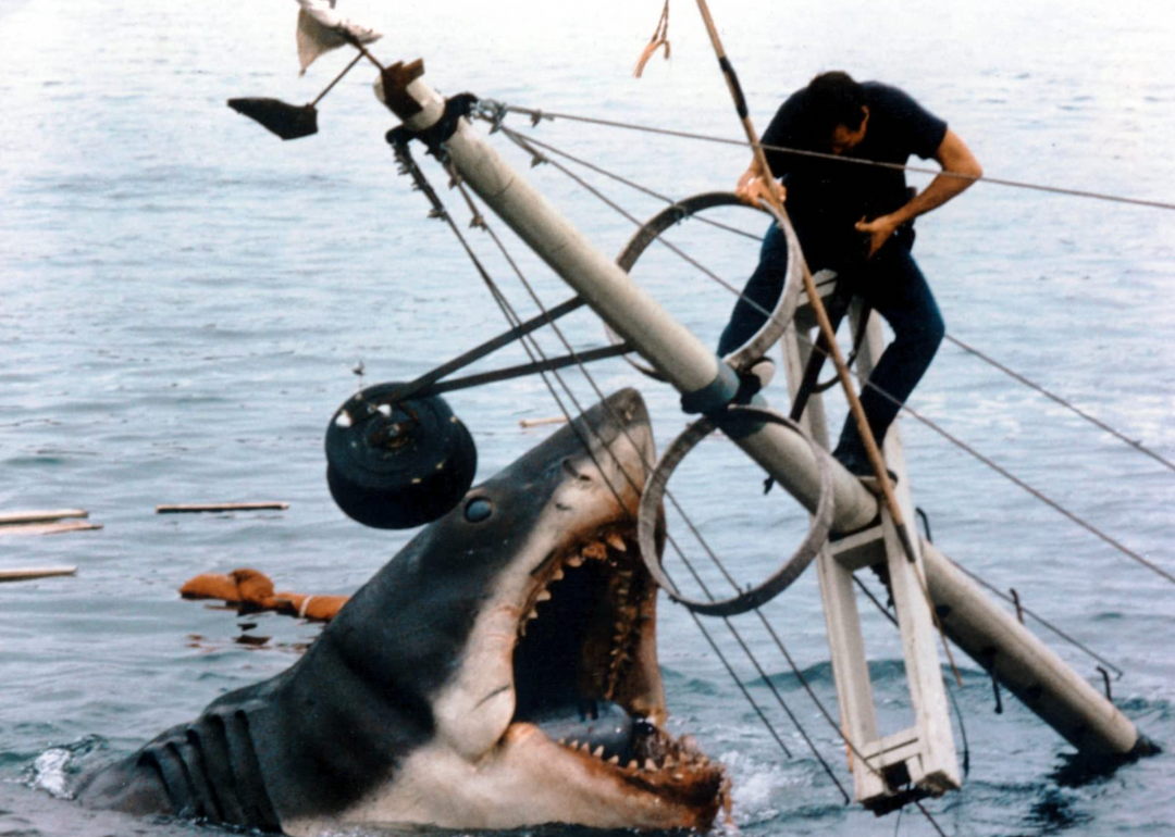Roy Scheider in 'Jaws'. 