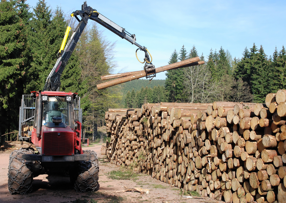A forestry worker moving logs with a crane.