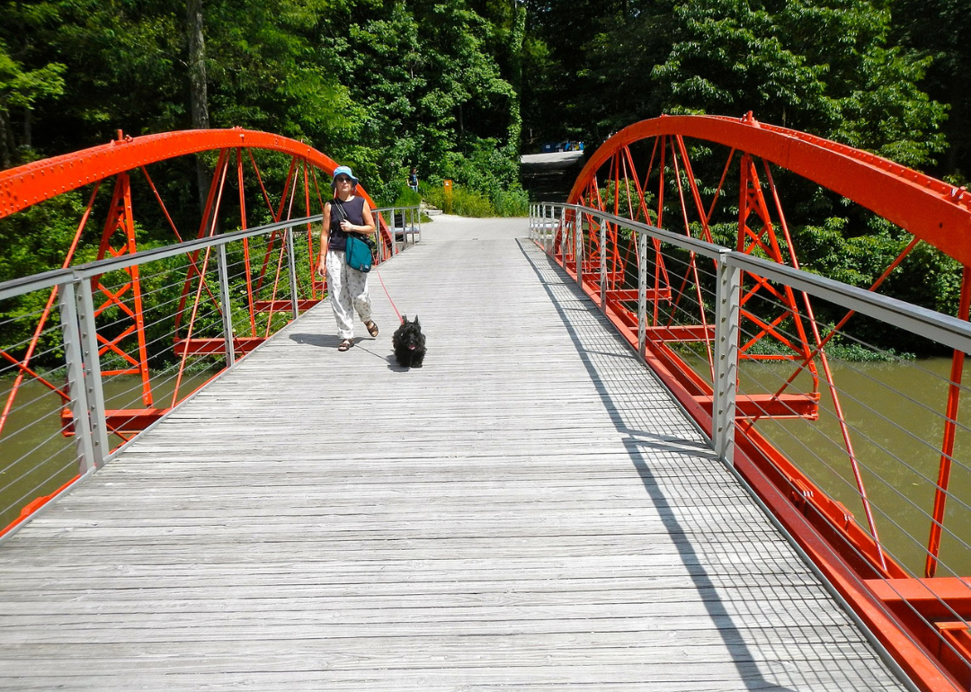 A person walking across a bridge at The Virginia B. Fairbanks Art & Nature Park.