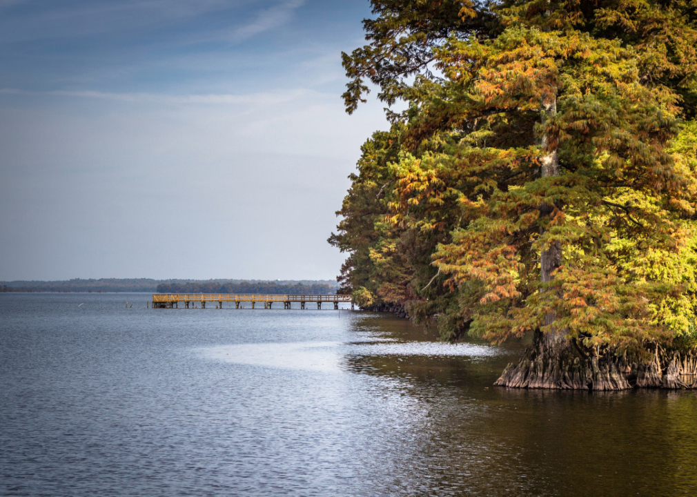 #27. Obion County