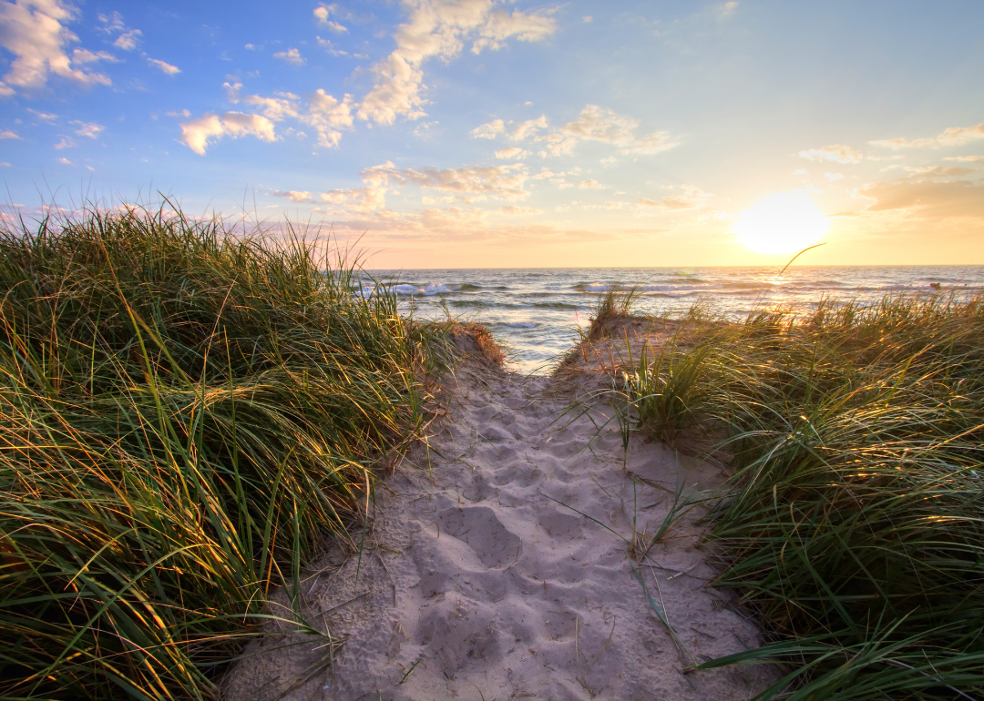 A sandy beach trail leading to a sunny summer horizon over the open waters of Lake Michigan at Hoffmaster State Park in Muskegon.