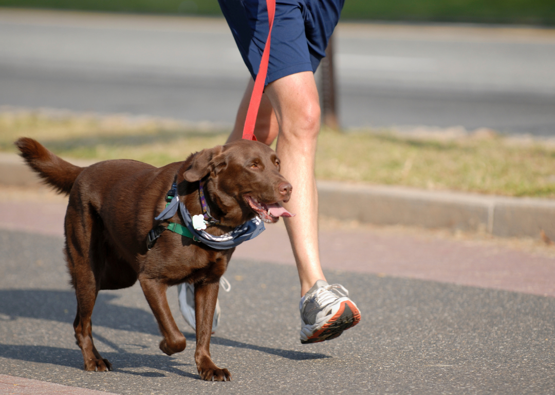 A person jogging with their dog while on a walk.