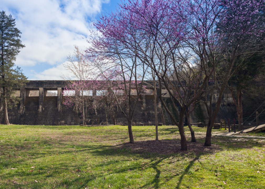 #26. Overton County