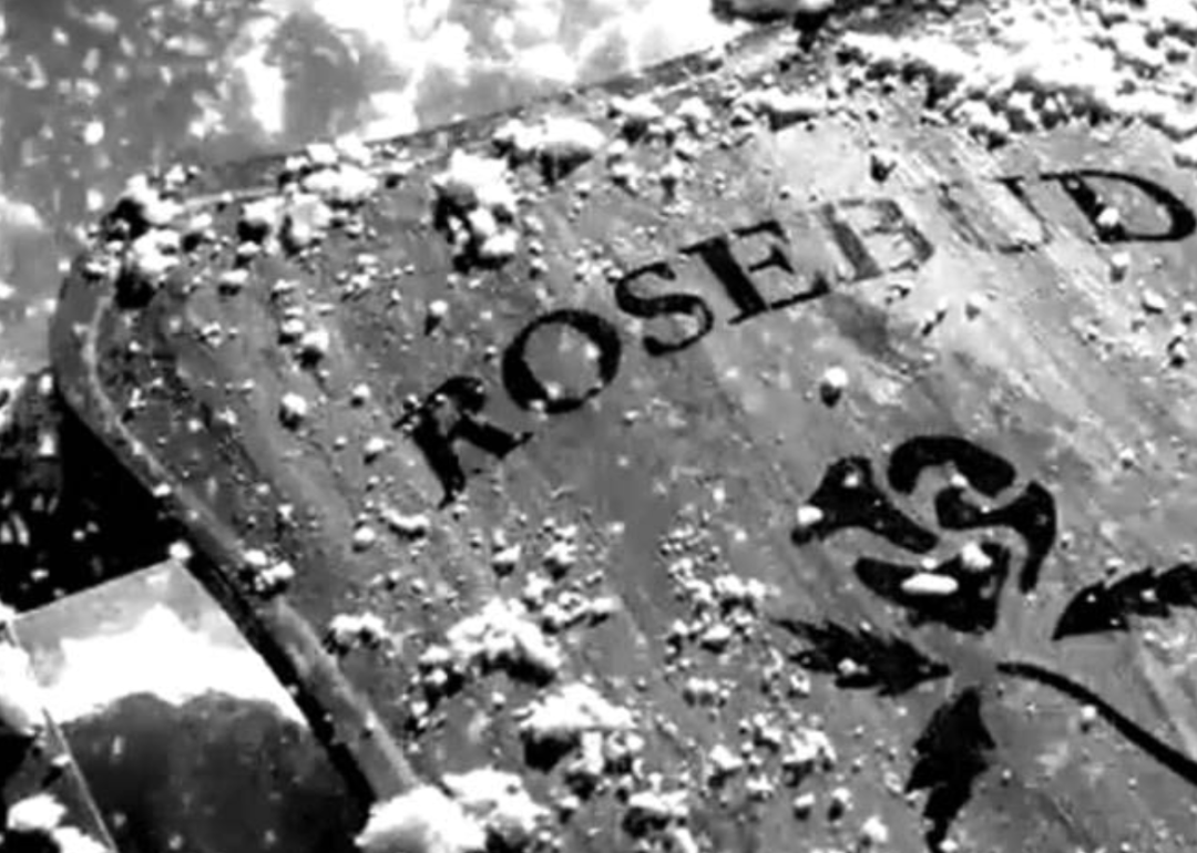 The sled, Rosebud, from "Citizen Kane."