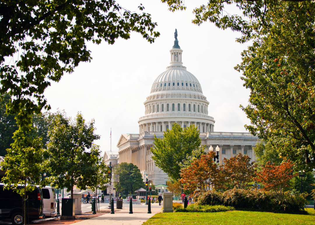 The Capitol Building in Washington, D.C.