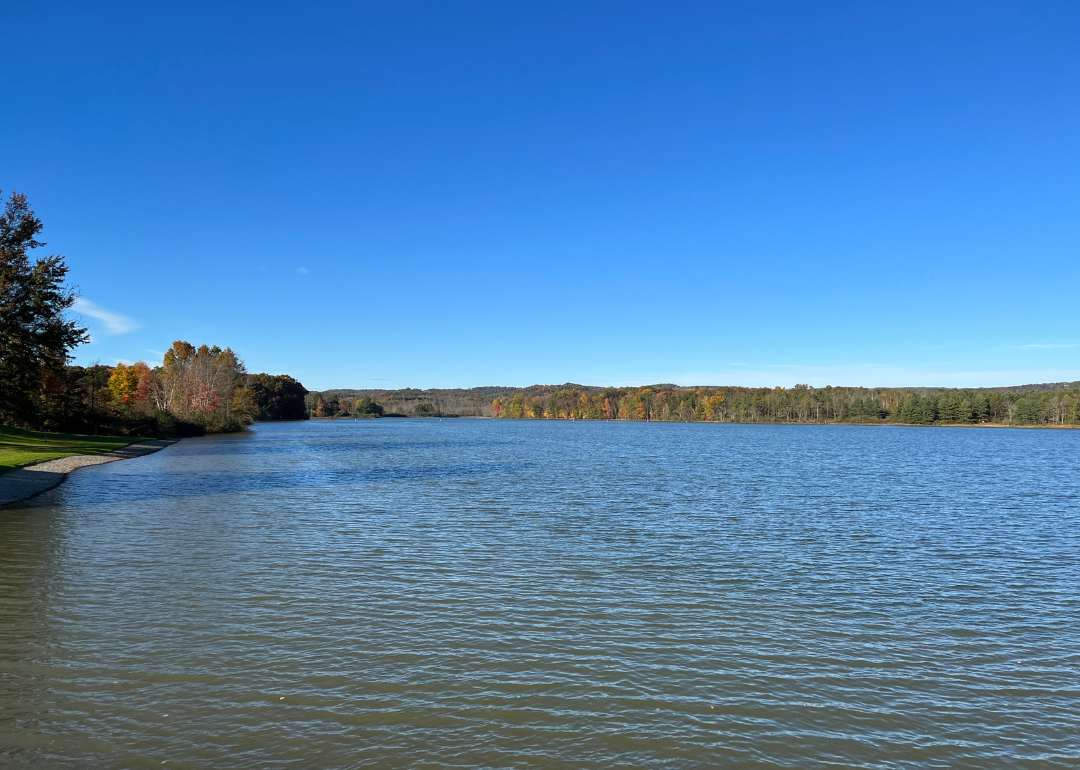 Blues skies over a body of water