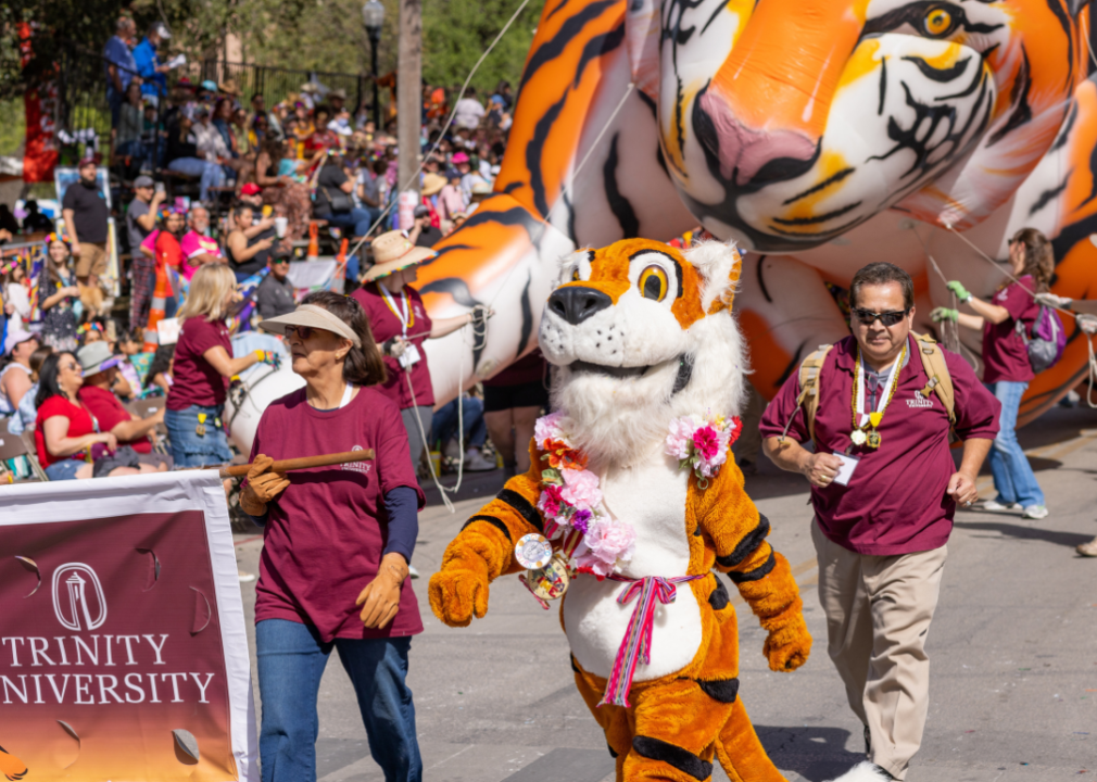 The tiger mascot of Trinity University marches in a parade.