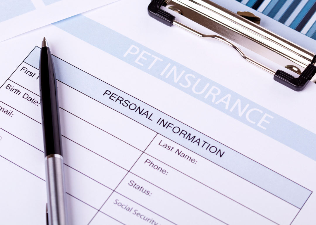 A pet insurance application
