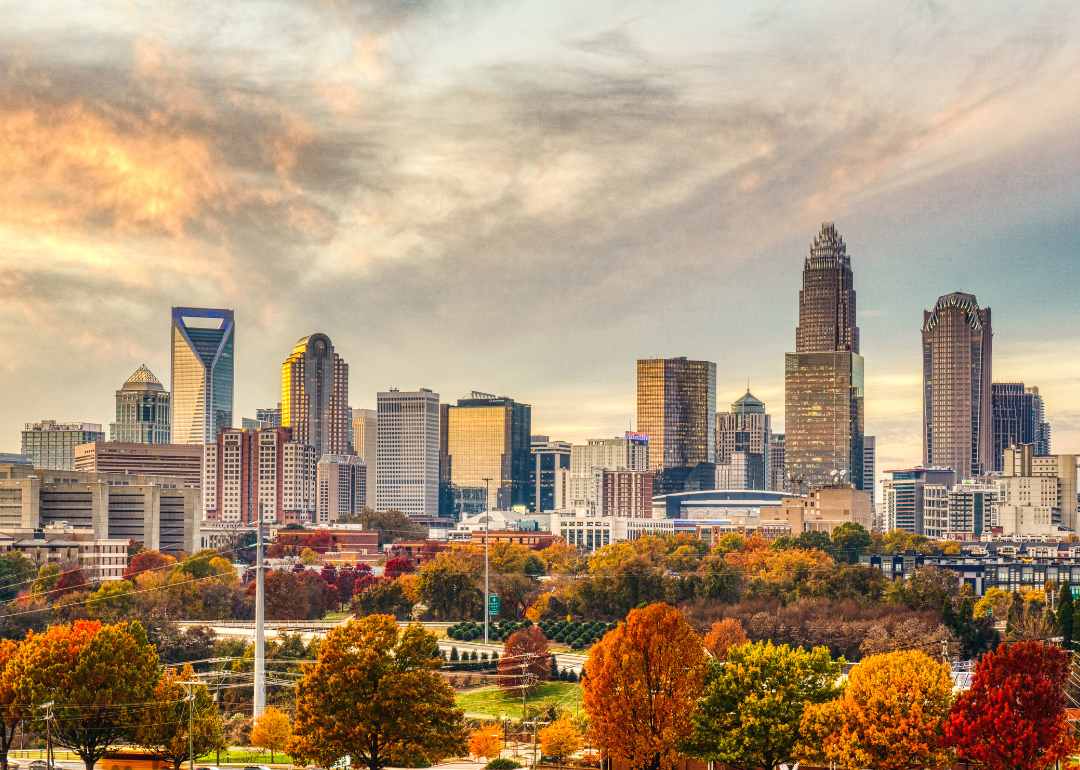 Charlotte's skyline during fall.