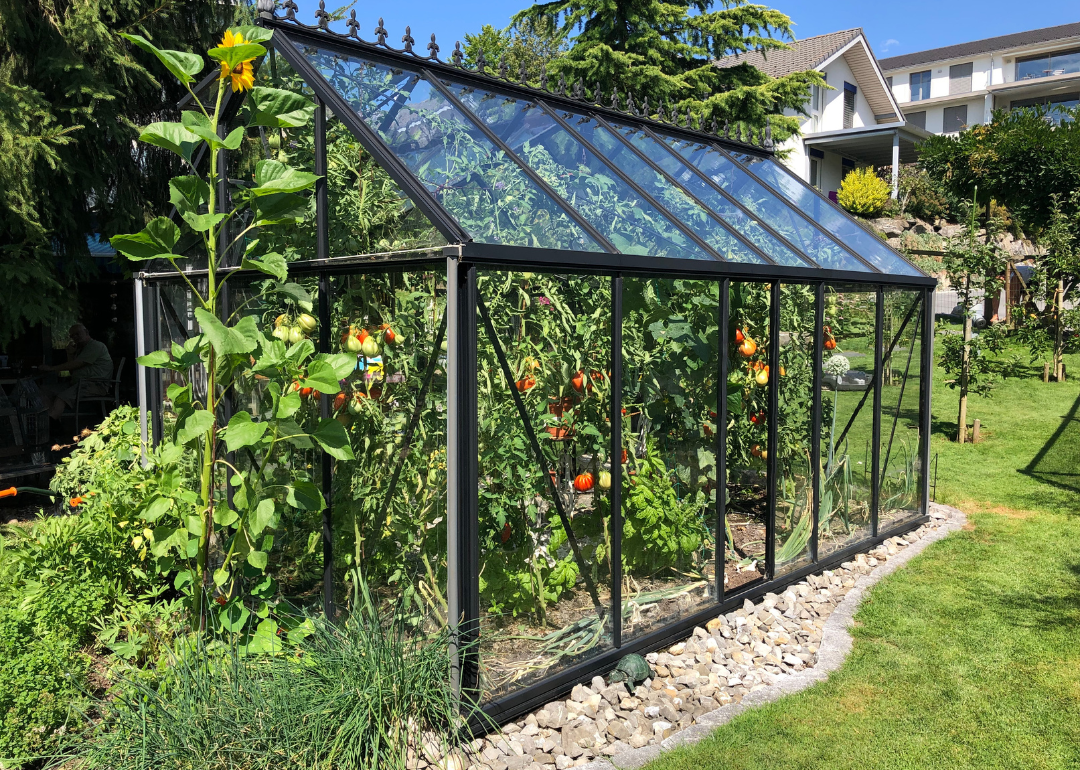 A greenhouse in a backyard