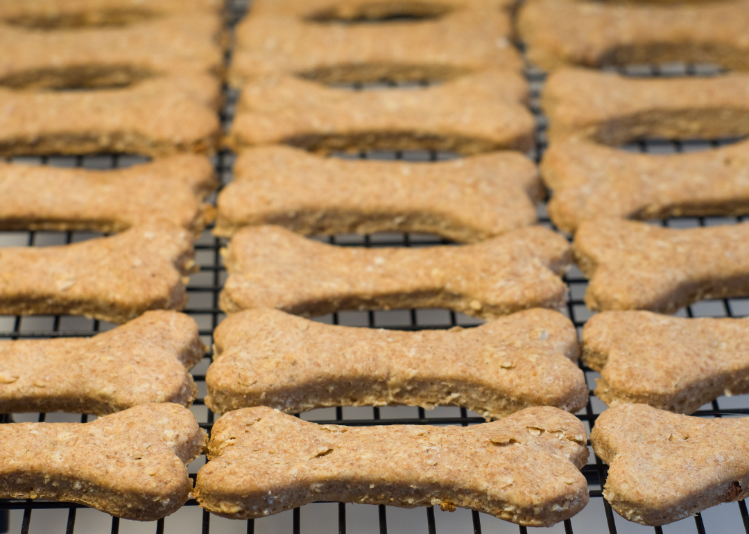 A tray of homemade dog treats