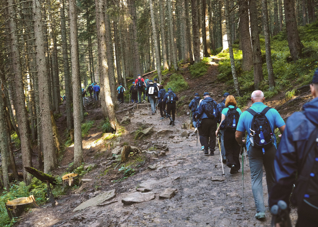 A group of employees hiking during a company retreat