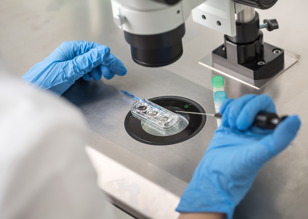 A technician in blue gloves control checking the in vitro fertilization process using a microscope
