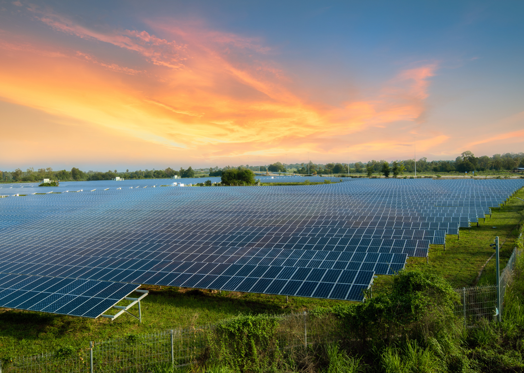 Rows of solar panels at a solar farm under a blue sky