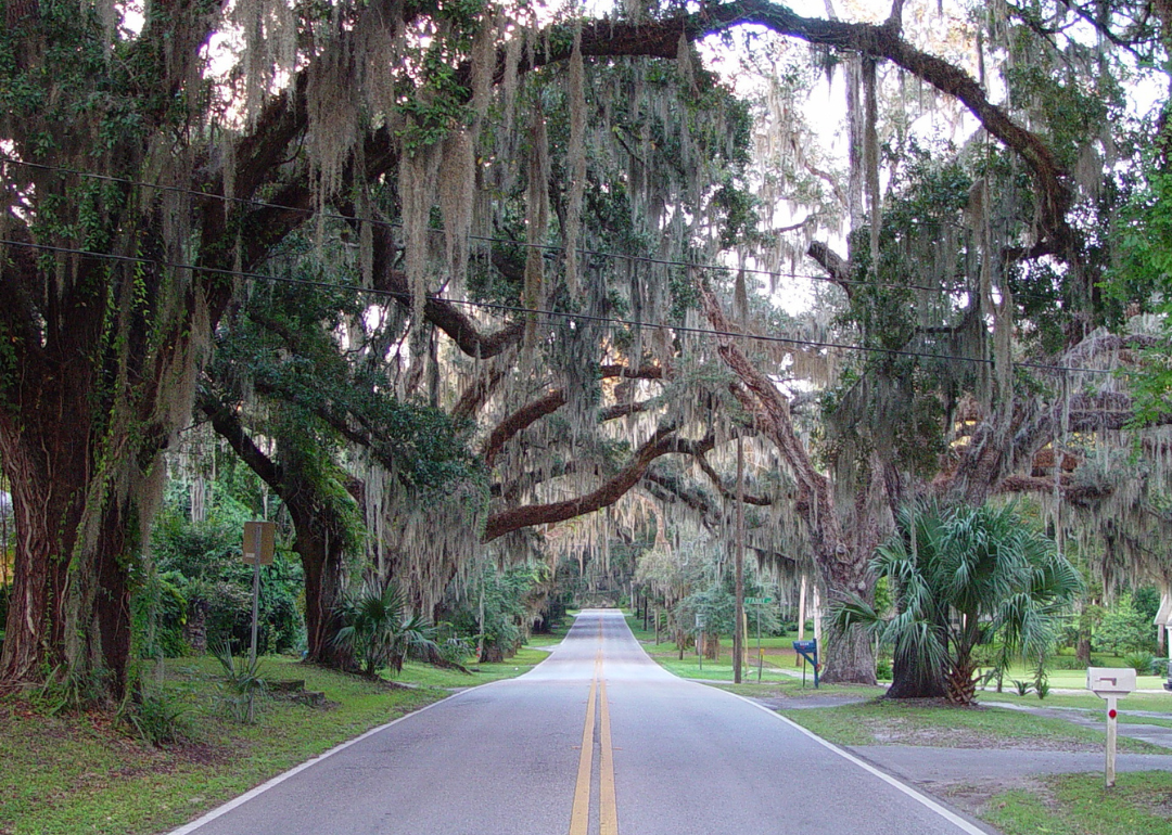 #3. Citrus County