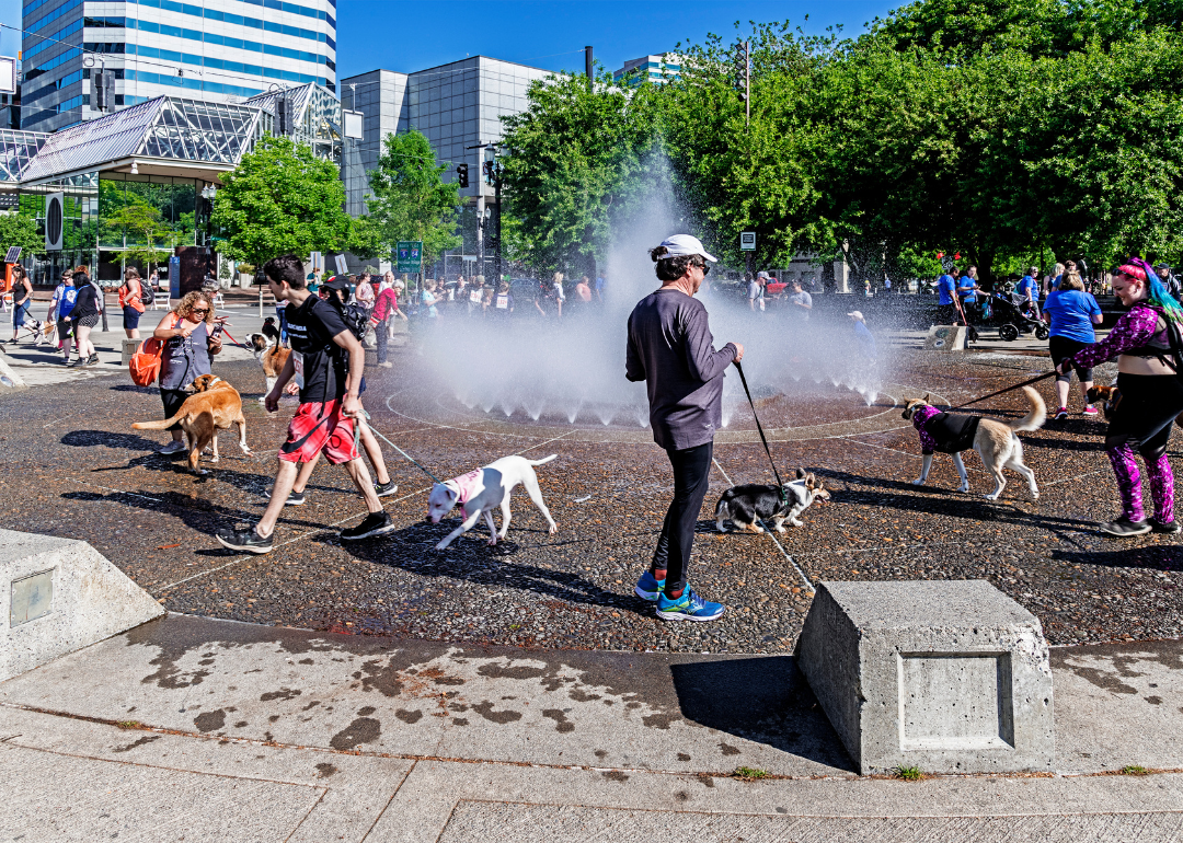 People and dogs cooling off from the summer heat in downtown Portland.