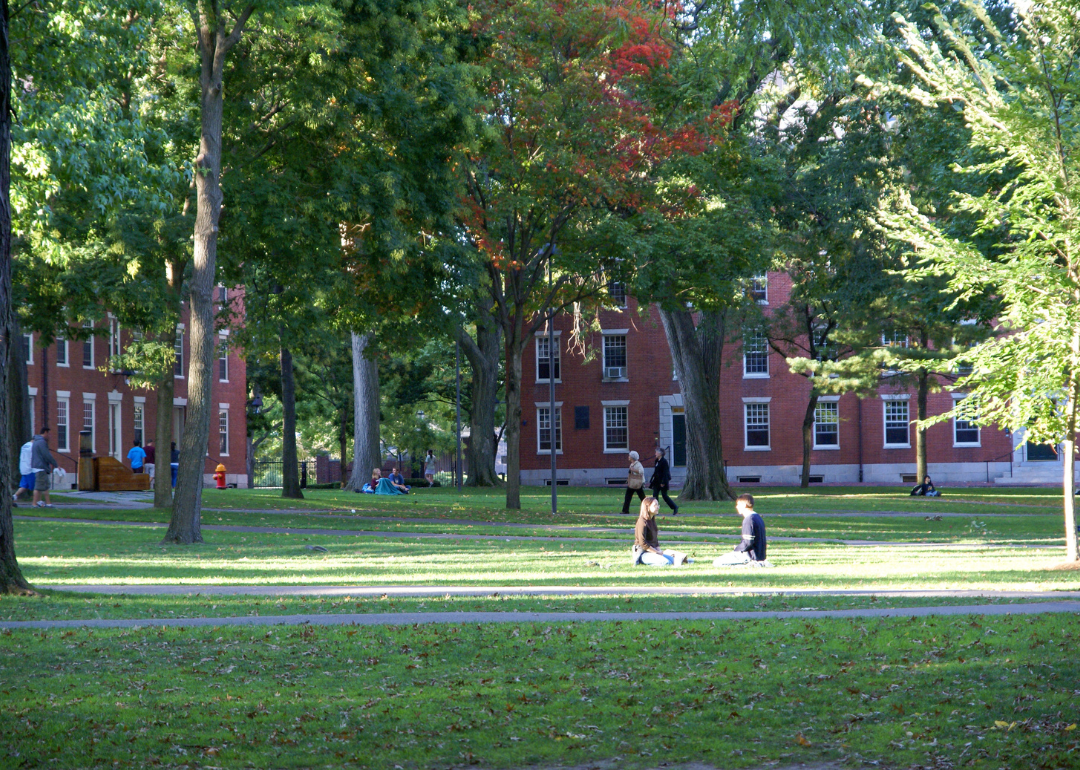 The courtyard of Harvard University in fall 2007.
