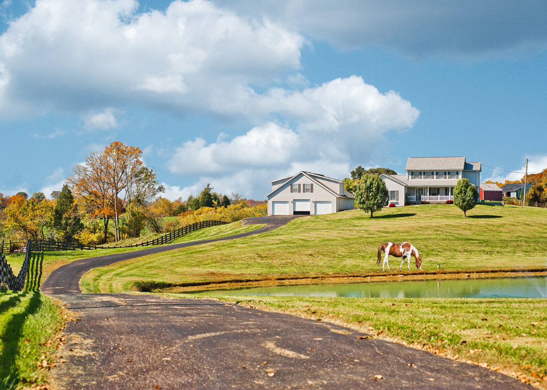 A horse farm in Kentucky.