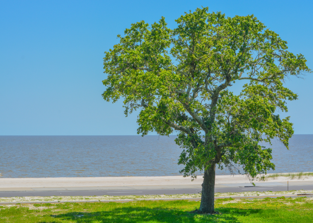 #12. Harrison, Mississippi