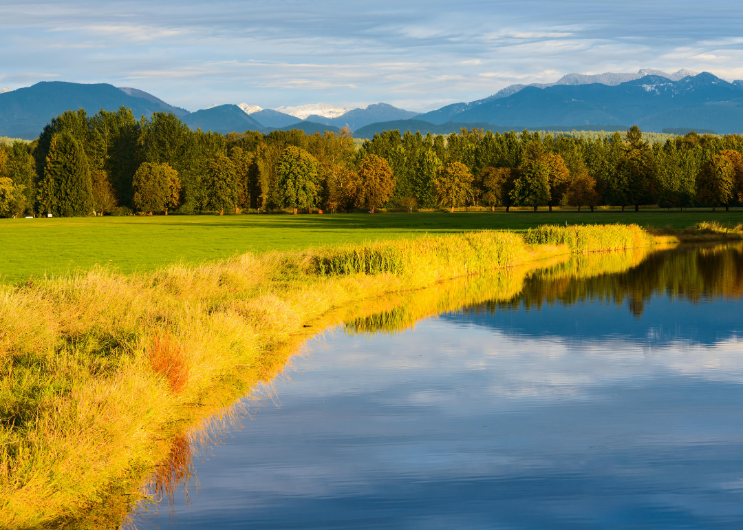 The evening sun illuminating farmland in Carnation, Washington, with golden light.