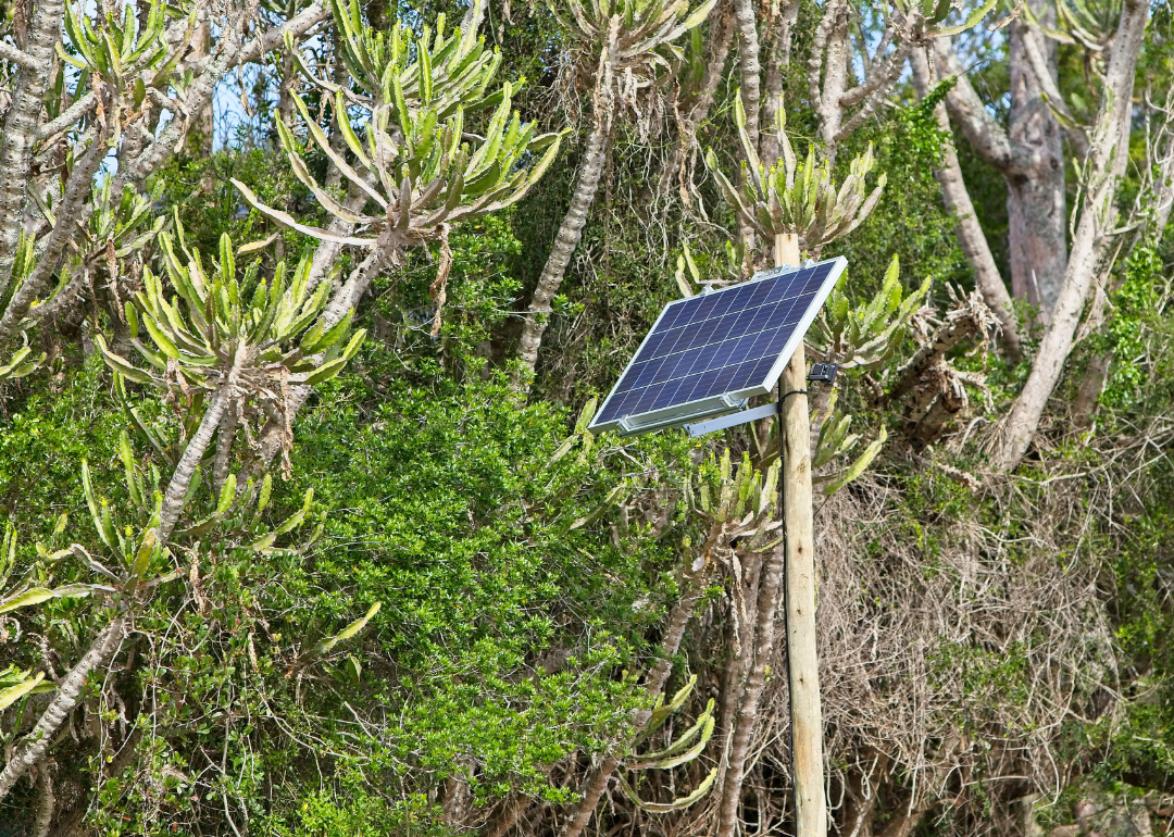 A solar power panel mounted to a wooden pole in a remote forest.